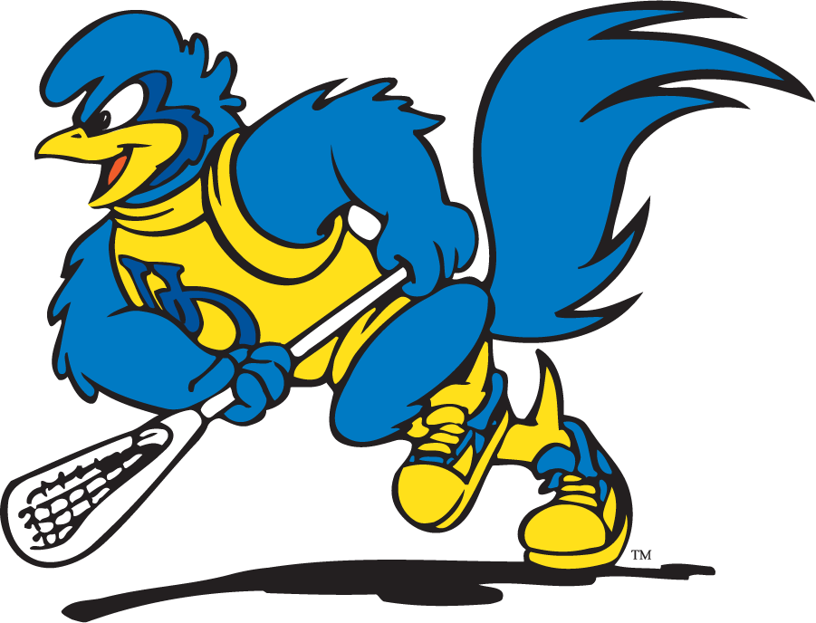 Delaware Blue Hens 1999-2009 Mascot Logo v2 iron on transfers for T-shirts